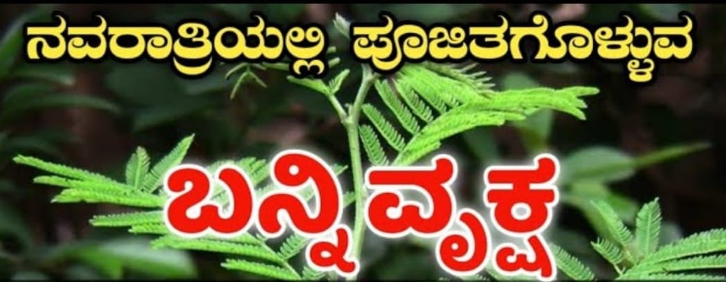 ಬನ್ನಿವೃಕ್ಷದಲಿ ಬಚ್ಚಿಟ್ಟ ಆಯುಧಗಳು ಮತ್ತು ವಿಜಯದಶಮಿ